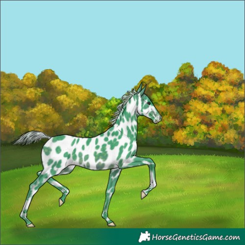 Horse Color:Watercolor Silver Brown Appaloosa 