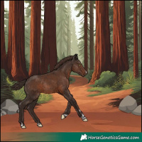 Horse Color:Liver Chestnut Rabicano 