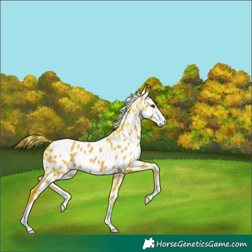 Horse Color:Watercolor Liver Chestnut Near Leopard