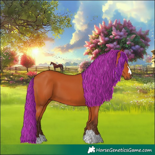 Horse Color:Silver Bay 
