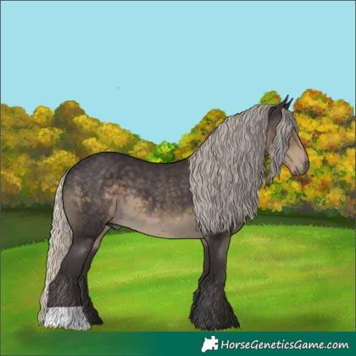 Horse Color:Silver Smoky Black 