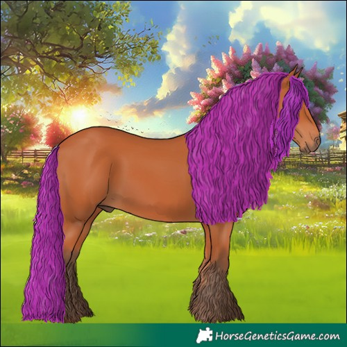 Horse Color:Silver Bay 