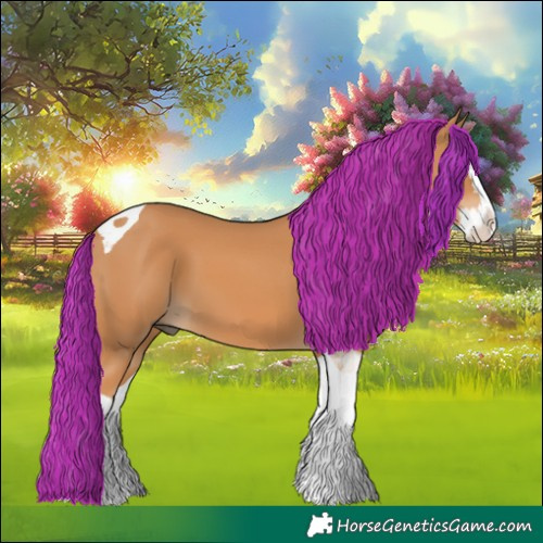 Horse Color:Chestnut Splash Tobiano 