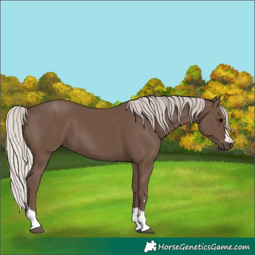 Horse Color:Silver Black 