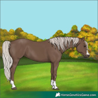 Horse Color:Silver Black 
