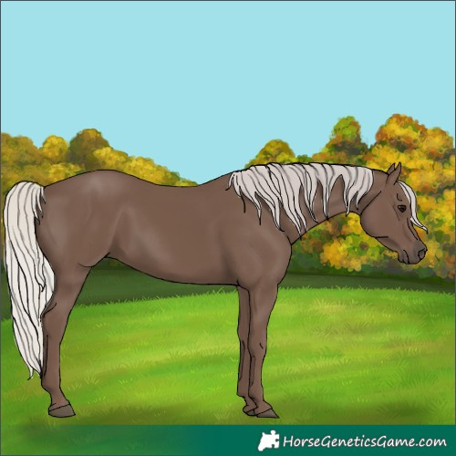 Horse Color:Silver Black 