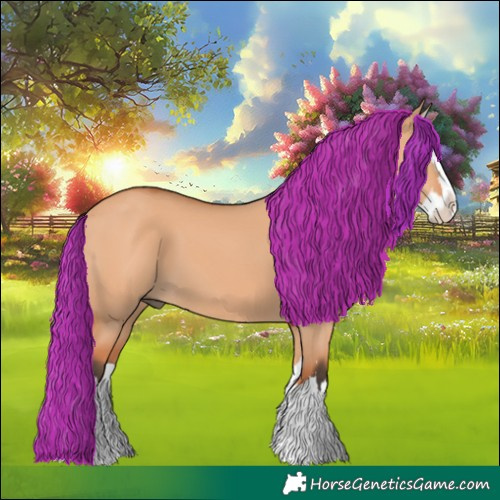 Horse Color:Bay Dun Splash