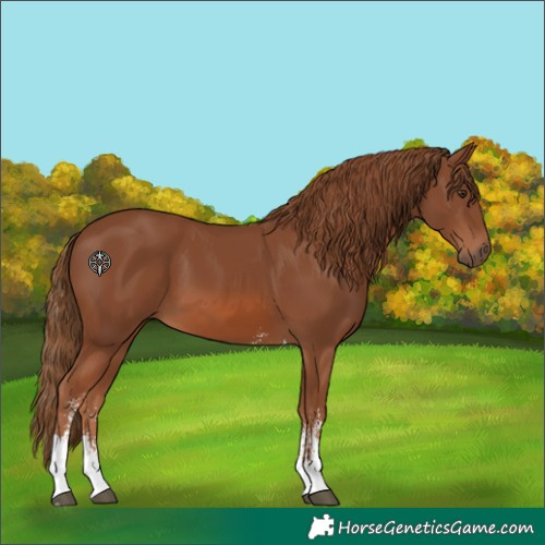 Horse Color:Chestnut Sabino Tobiano Rabicano 
