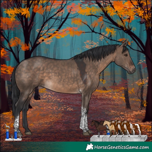 Horse Color:Brown Dun Tobiano 