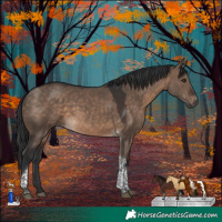 Horse Color:Brown Dun Tobiano 
