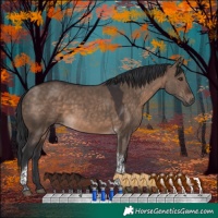 Horse Color:Brown Dun Tobiano