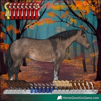 Horse Color:Brown Dun Tobiano 
