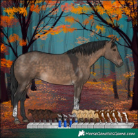 Horse Color:Brown Dun Tobiano 