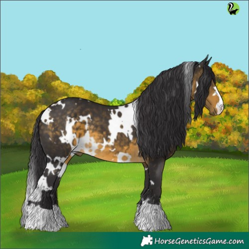Horse Color:White Spotted Buckskin
