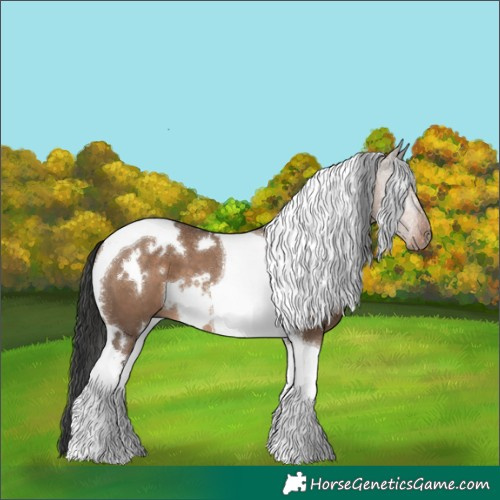 Horse Color:White Spotted Liver Red Dun Tobiano 
