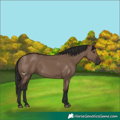Horse Color:Liver Red Dun Rabicano 