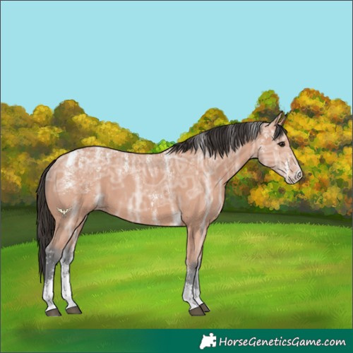 Horse Color:Powder White Bay Ice Sabino
