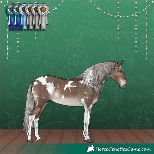 Horse Color:White Spotted Silver Brown Dun Tobiano Rabicano