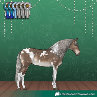 Horse Color:White Spotted Silver Brown Dun Tobiano Rabicano 