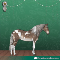 Horse Color:White Spotted Silver Brown Dun Tobiano Rabicano