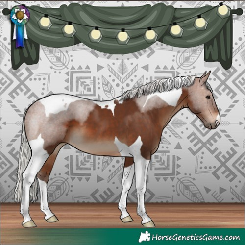 Horse Color:Silver Bay Tobiano 
