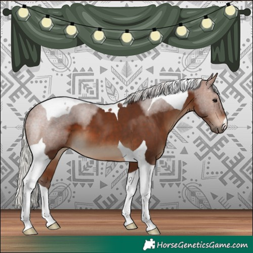 Horse Color:Silver Bay Tobiano 