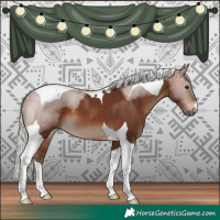 Horse Color:Silver Bay Tobiano