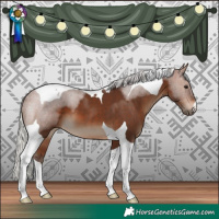 Horse Color:Silver Bay Tobiano