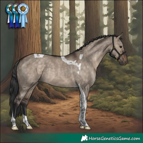 Horse Color:Brown Dun Tobiano Rabicano 