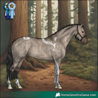 Horse Color:Brown Dun Tobiano Rabicano
