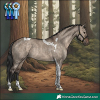 Horse Color:Brown Dun Tobiano Rabicano 
