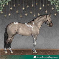 Horse Color:Brown Dun Tobiano Rabicano