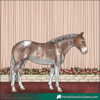 Horse Color:Silver Brown Sabino Tobiano Rabicano 