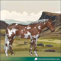 Horse Color:White Spotted Silver Black Rabicano 