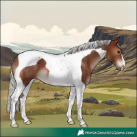 Horse Color:Silver Brown Tobiano
