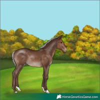 Horse Color:Silver Brown