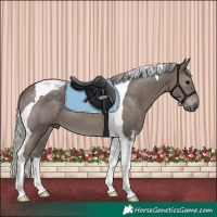 Horse Color:Silver Black Tobiano 
