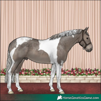 Horse Color:Silver Black Tobiano 