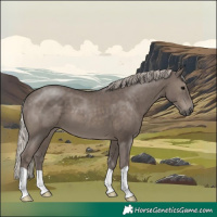 Horse Color:Silver Black