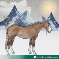 Horse Color:Silver Brown Dun Rabicano