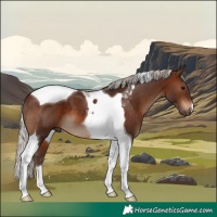 Horse Color:Silver Brown Tobiano 