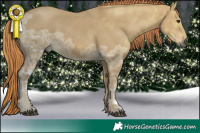 Horse Color:Gray Red Dun Ice 