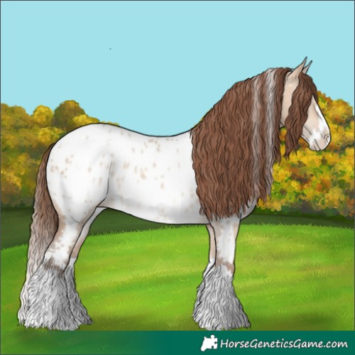 Horse Color:White Spotted Amber Champagne Dun Splash Near Leopard Rabicano