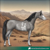 Horse Color:Grullo Sabino Rabicano