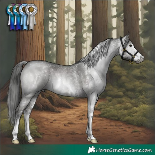 Horse Color:Gray Black Sabino 
