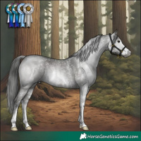 Horse Color:Gray Black Sabino 