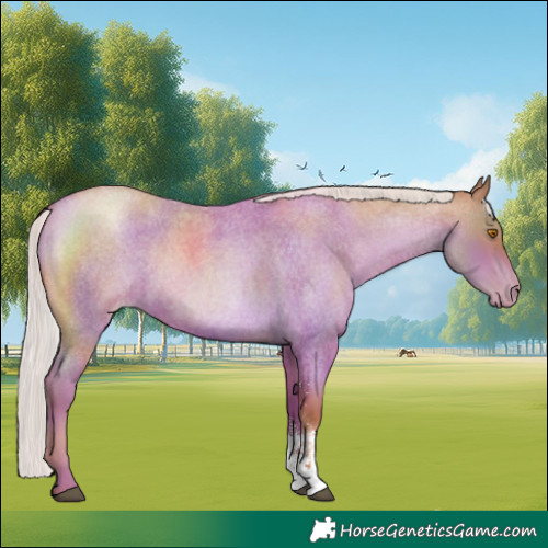 Horse Color:Silver Blue Roan Pearl Sabino