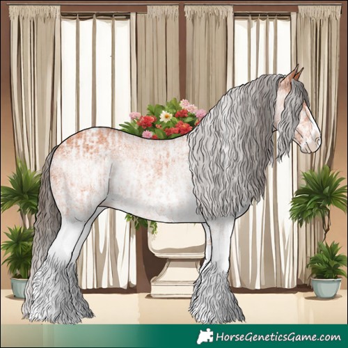 Horse Color:White Spotted Bay Splash Appaloosa and White Spotted Bay Splash Appaloosa