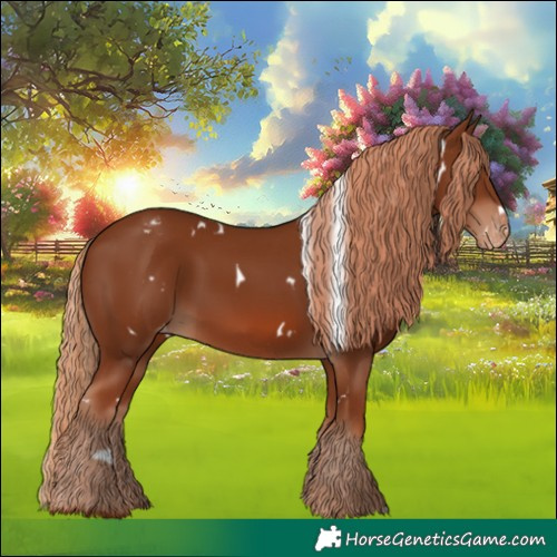 Horse Color:White Spotted Chestnut Appaloosa