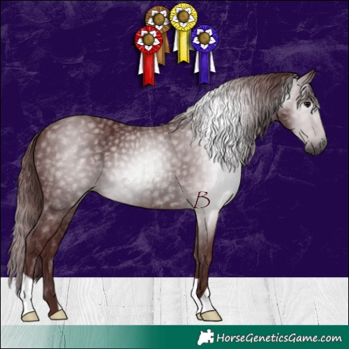 Horse Color:Gray Chocolate Black 